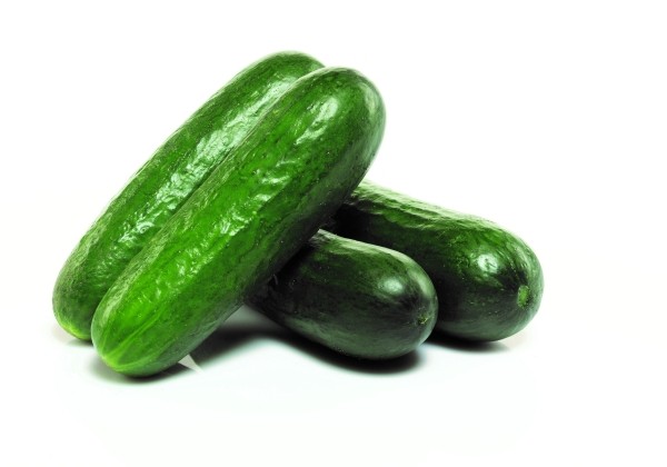 Cucumis sativus Citaro (Amadora)