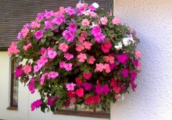 Iekarināmais pods 30 cm, zaļš