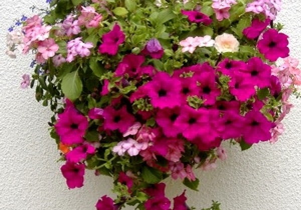 Iekarināmais pods 30 cm, zaļš