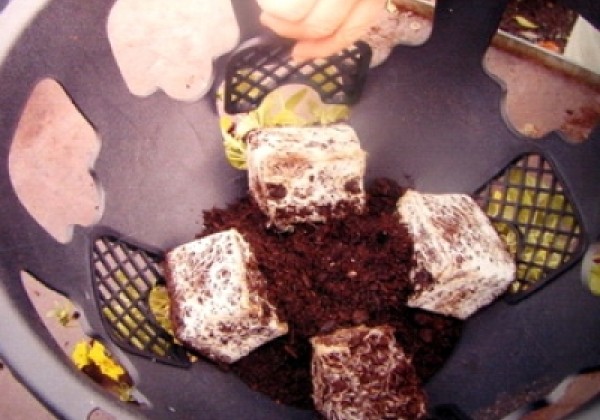 Iekarināmais pods 30 cm, zaļš