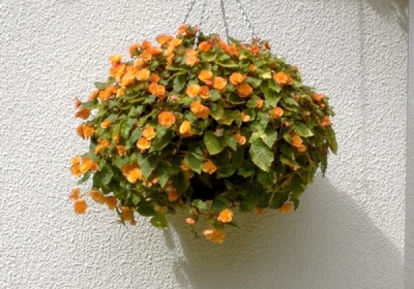 Iekarināmais pods 35 cm, zaļš