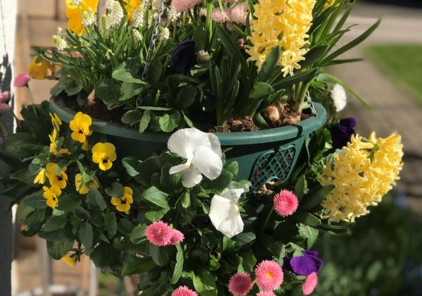 Iekarināmais pods 35 cm, zaļš