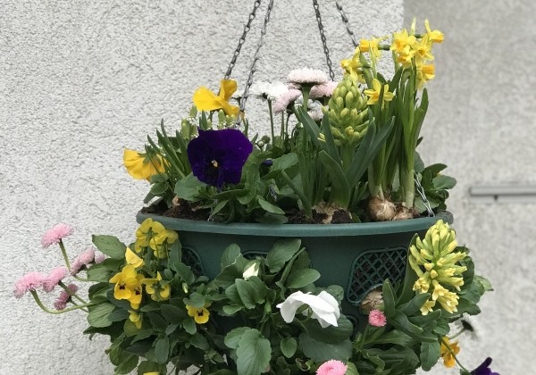 Iekarināmais pods 35 cm, zaļš