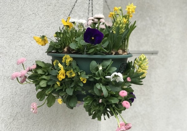 Iekarināmais pods 35 cm, zaļš