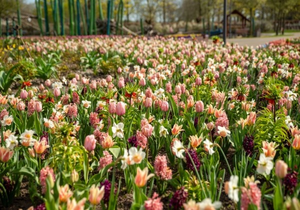 Combinations Mischung Gartenschaupark Rietberg