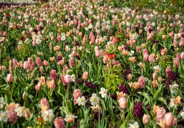 Combinations Mischung Gartenschaupark Rietberg