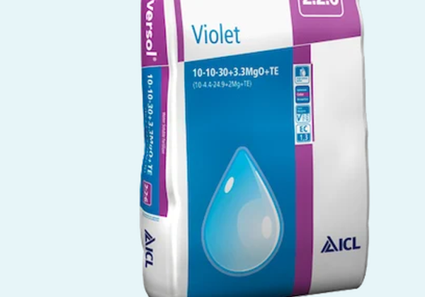 Universol® Violet
10–10–31 + 3,3 MgO + TE