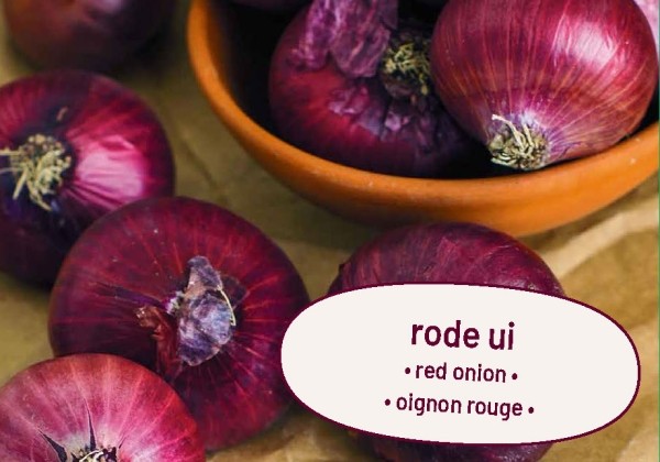 Allium cepa Red Baron 250 g