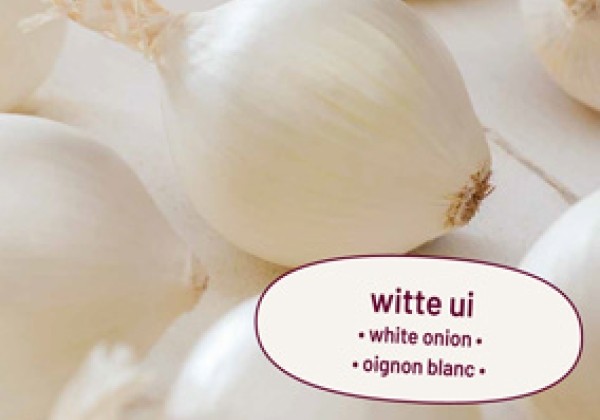 Allium cepa Snowball 250 g