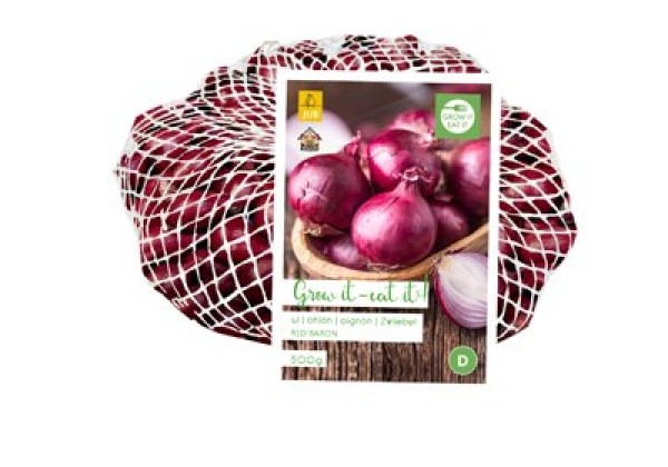 Allium cepa Red Baron 500 g