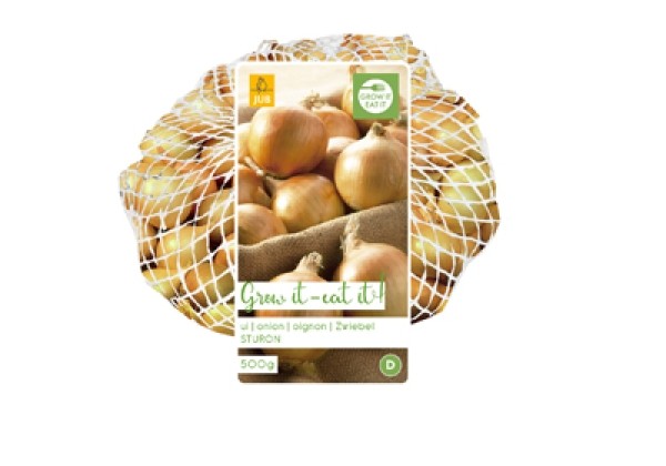Allium cepa Sturon 500 Gr