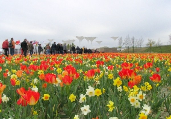 Combinations Floriade