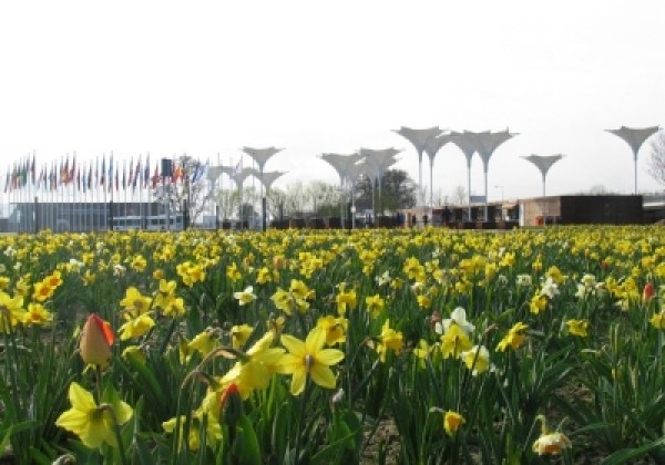 Combinations Floriade