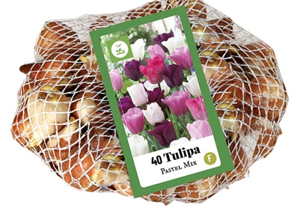 Tulipa Pastel Mix (tīkliņā) 11/12