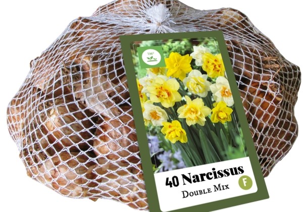 Narcissus, pildītiem z. Double Mix (tīkliņā) 10/12