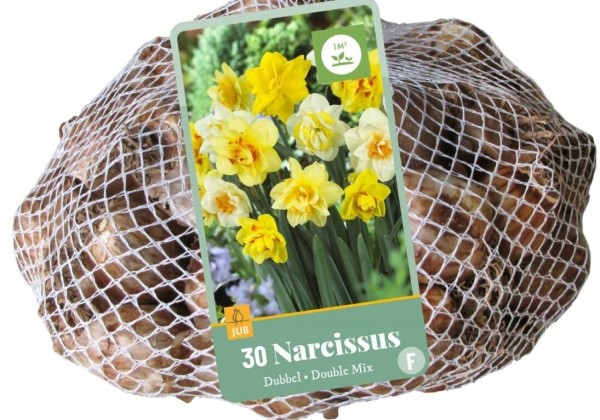 Narcissus, pildītiem z. Double Mix (tīkliņā) 10/12