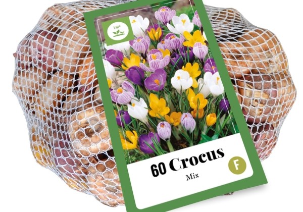 Crocus Mix (tīkliņā) 7/8