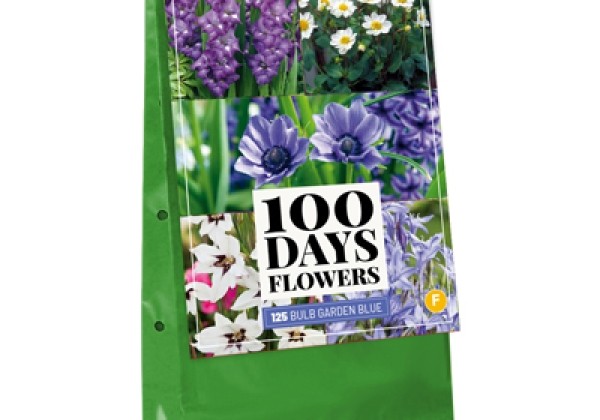 Sīpolpuķu maisījums Bulb Garden Blue