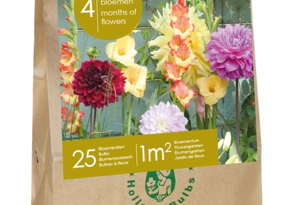 Sīpolpuķu maisījums Blooming Summer Evi