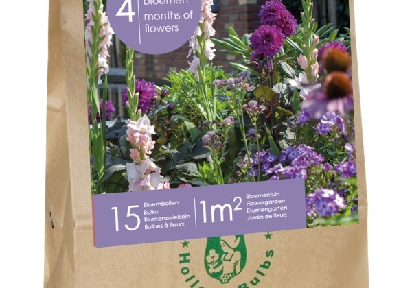 Sīpolpuķu maisījums Blooming Summer Lotte