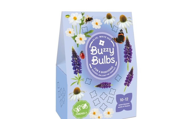 Sīpolpuķu maisījums Buzzy Bulbs Blue - White