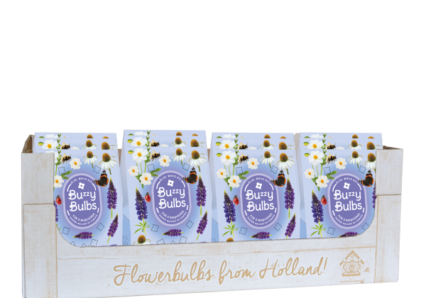 Sīpolpuķu maisījums Buzzy Bulbs Blue - White (kaste + 12 pakas)