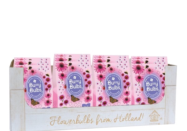 Sīpolpuķu maisījums Buzzy Bulbs Pink - Lilac (kaste + 12 pakas)