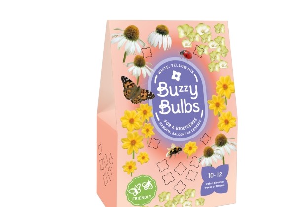 Sīpolpuķu maisījums Buzzy Bulbs White - Yellow