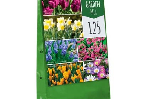 Sīpolpuķu maisījums Bulb Garden Mix
