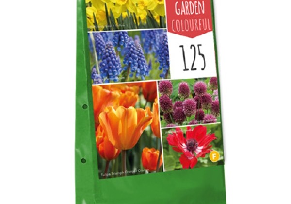 Sīpolpuķu maisījums Bulb Garden Colourful