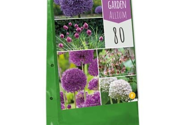 Sīpolpuķu maisījums Bulb Garden Allium