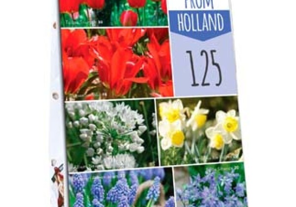 Sīpolpuķu maisījums Bulbs From Holland