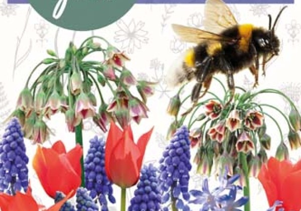 Sīpolpuķu maisījums Help Nature Grow - Happy Bee Mix