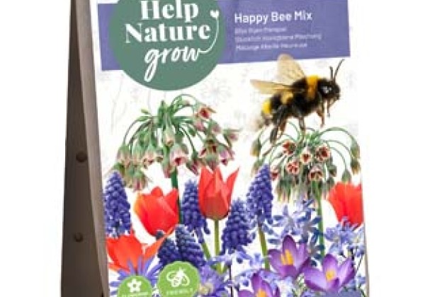Sīpolpuķu maisījums Help Nature Grow - Happy Bee Mix