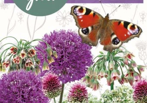 Sīpolpuķu maisījums Help Nature Grow - Butterfly Mix