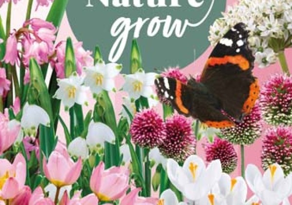 Sīpolpuķu maisījums Help Nature Grow - Pink Friends