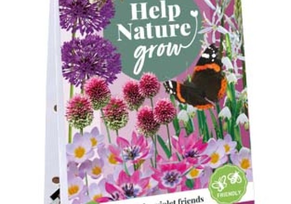 Sīpolpuķu maisījums Help Nature Grow - Violet Friends