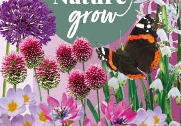 Sīpolpuķu maisījums Help Nature Grow - Violet Friends