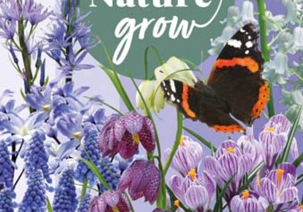 Sīpolpuķu maisījums Help Nature Grow - Blue Friends