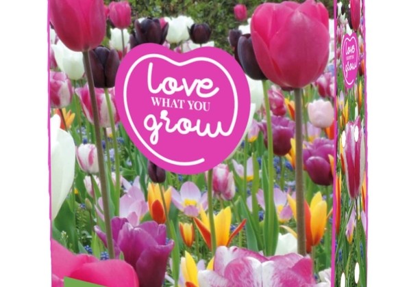 Sīpolpuķu maisījums Love What You Grow - Mix