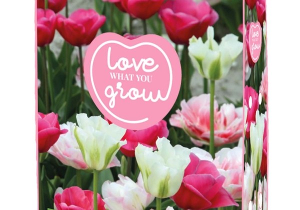 Sīpolpuķu maisījums Love What You Grow - Pink