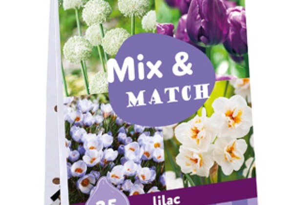 Sīpolpuķu maisījums Mix & Match Lilac