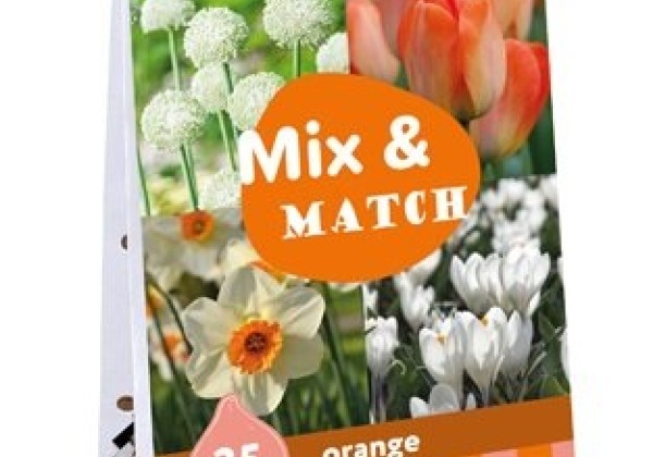 Sīpolpuķu maisījums Mix & Match Orange