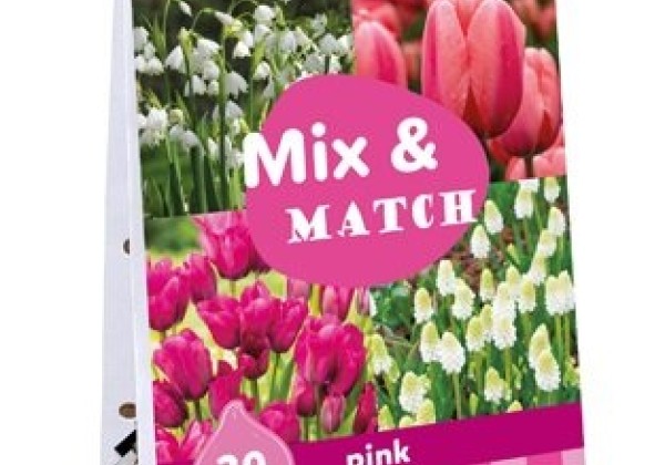 Sīpolpuķu maisījums Mix & Match Pink