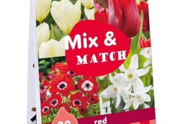 Sīpolpuķu maisījums Mix & Match Red