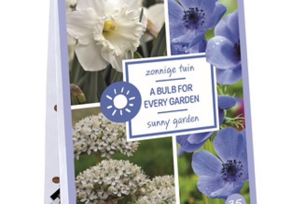Sīpolpuķu maisījums Sunny Garden