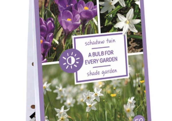 Sīpolpuķu maisījums Shade Garden