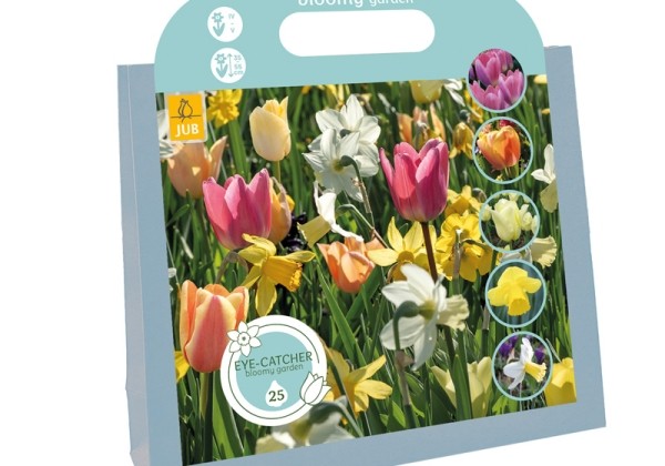 Sīpolpuķu maisījums Eye-Catcher - Bloomy Garden