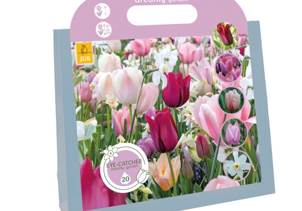 Sīpolpuķu maisījums Eye-Catcher - Dreamy Garden