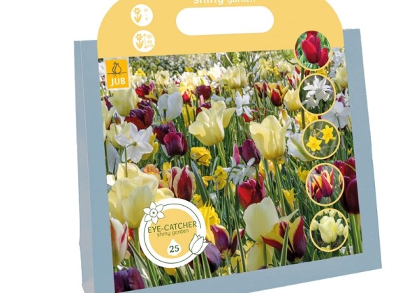 Sīpolpuķu maisījums Eye-Catcher - Shiny Garden